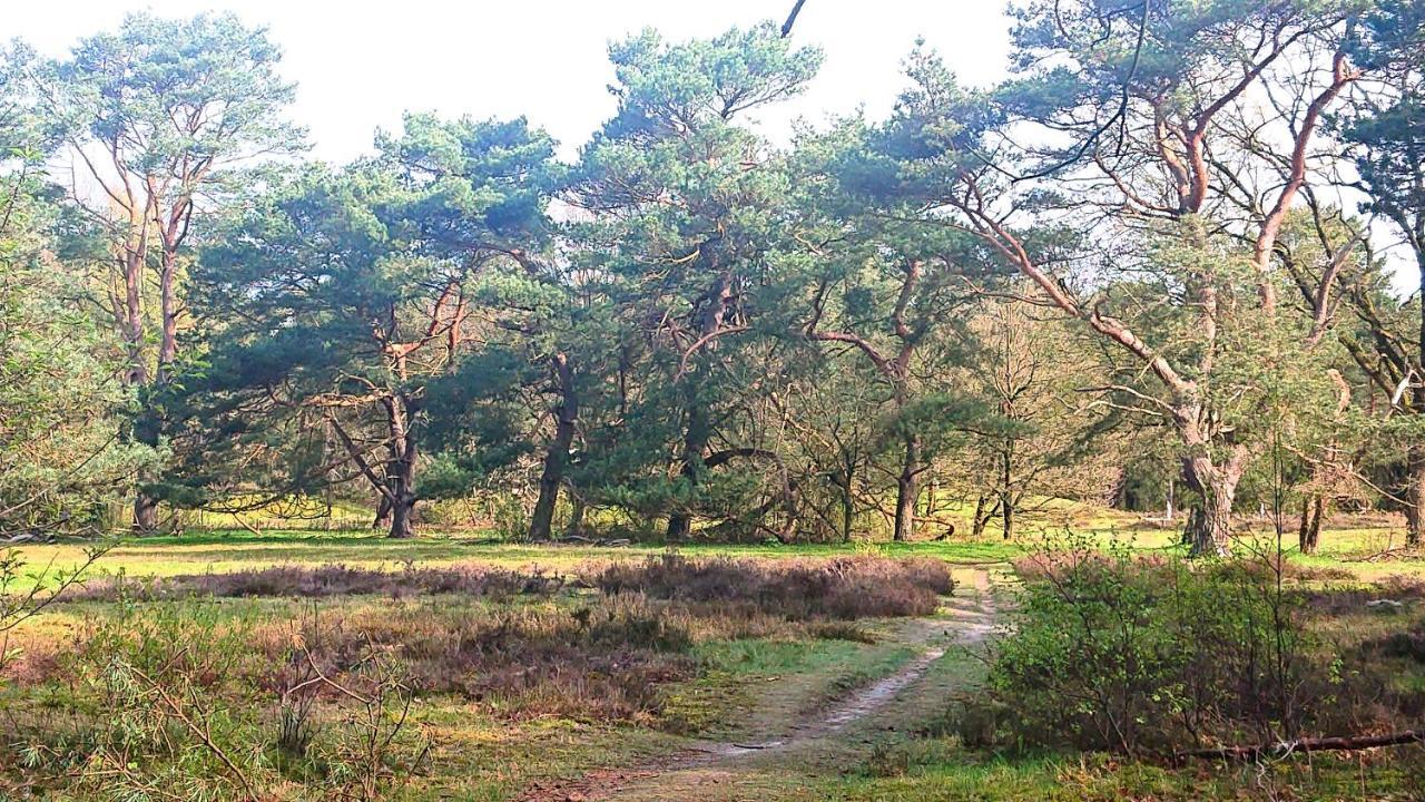 安卢*Butterfly* Heerlijke Chalet Met Omheinde Tuin In Bosrijke Omgeving.别墅 外观 照片